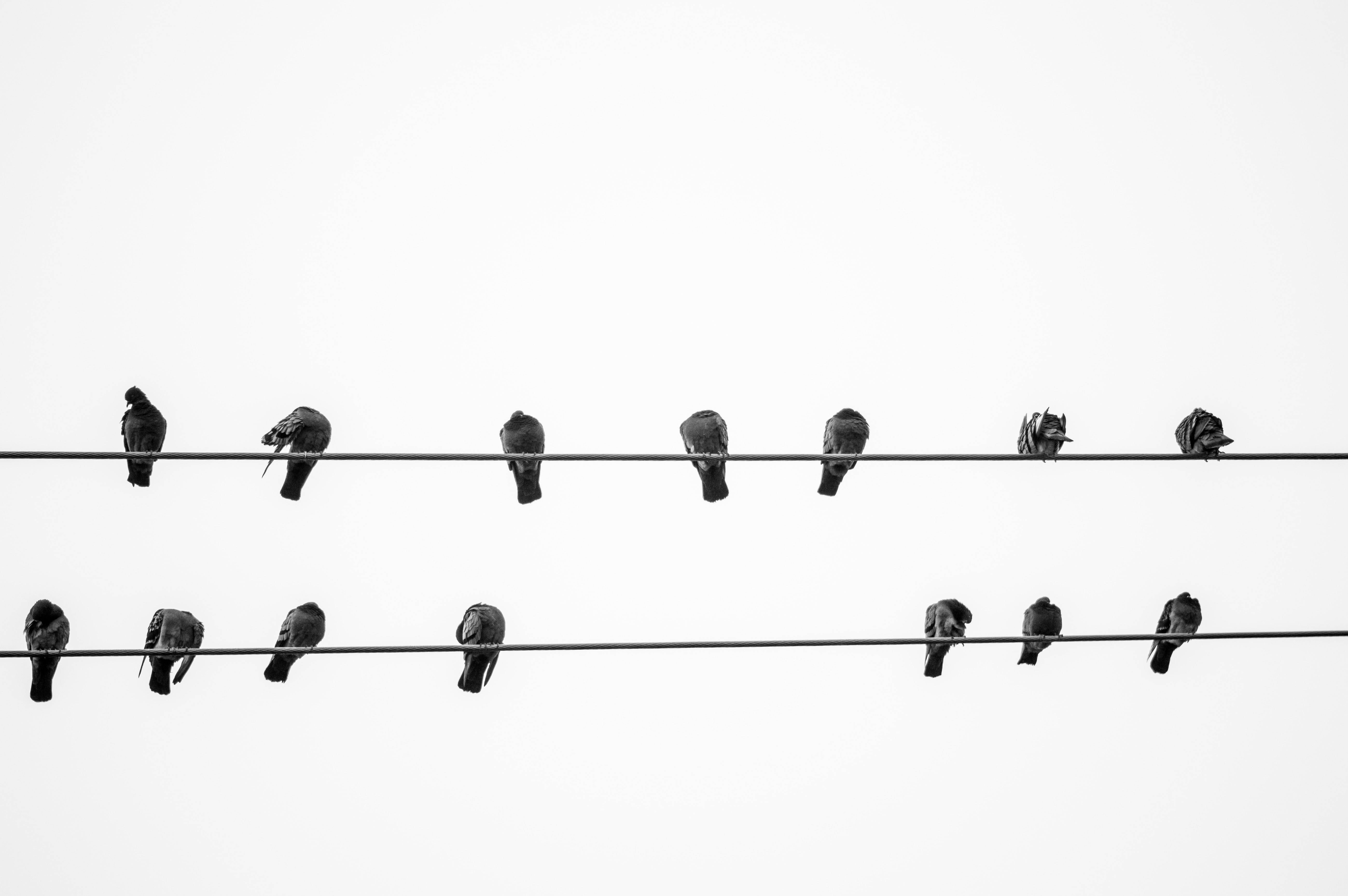 Multiple linear regression part 1 beyond the margins